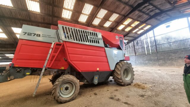 T5011908 2008 MASSEY FERGUSON 7278AL COMBINE