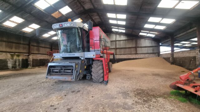 T5011908 2008 MASSEY FERGUSON 7278AL COMBINE