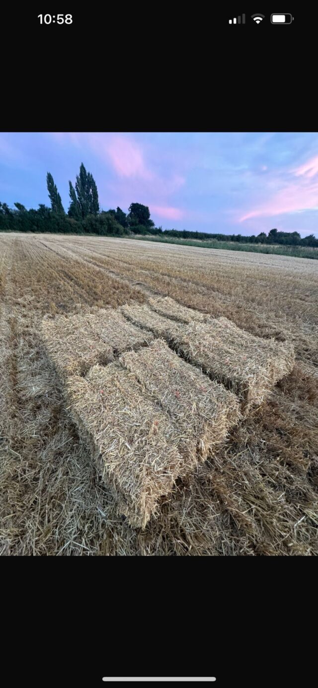 Conventional straw bales