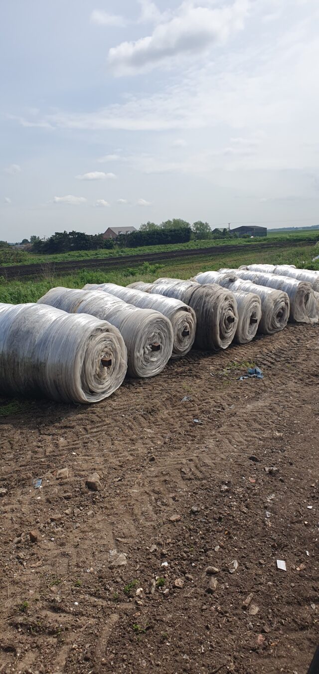 Crop cover netting insect mesh