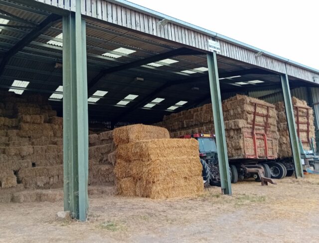 Hay for sale