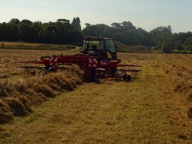 Hay for sale