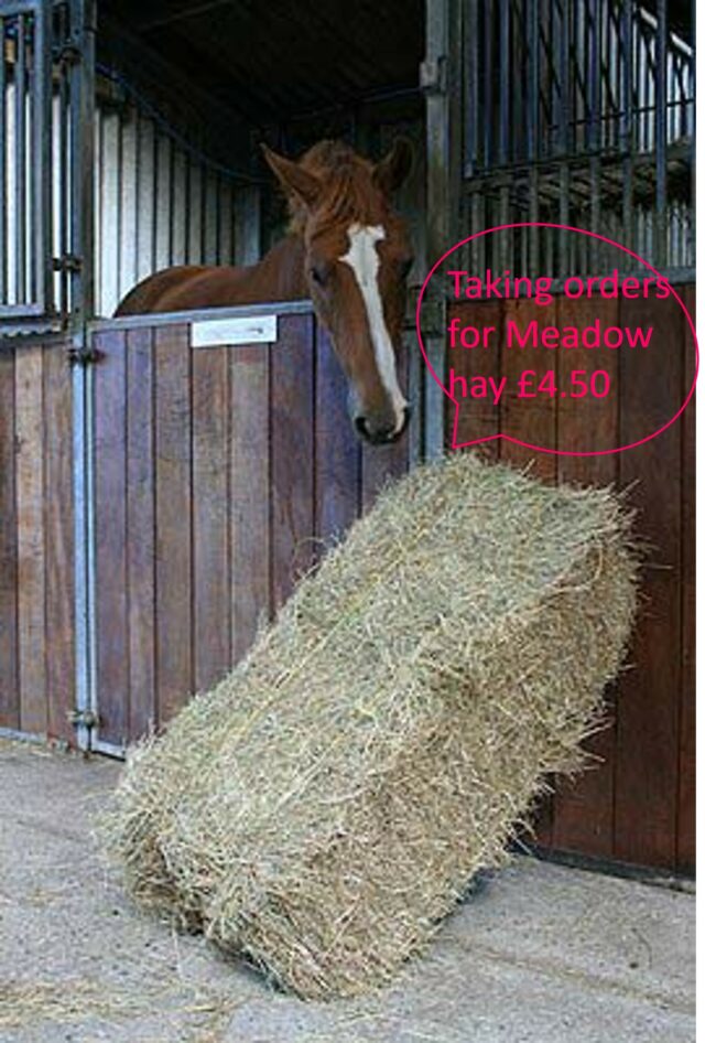 Hay for sale