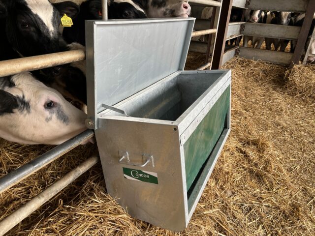 CONDON ENGINEERING CALF FEEDER BOX