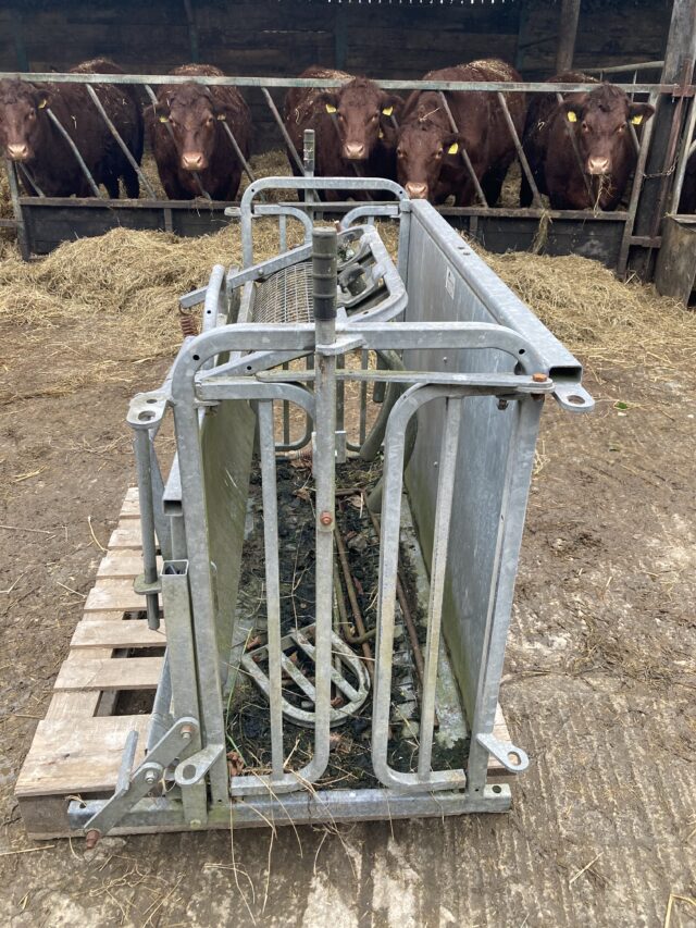 Sheep Turnover Crate