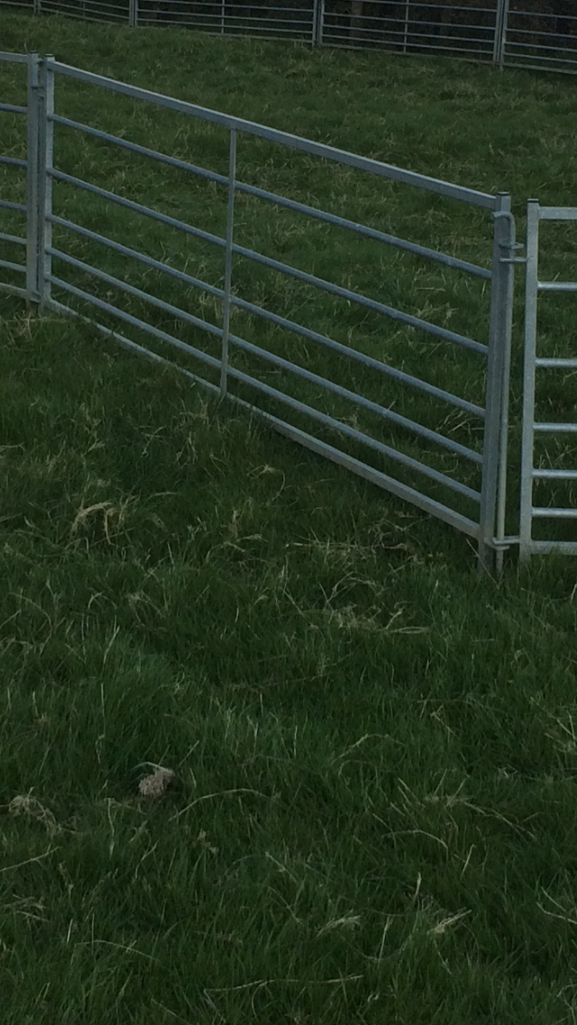 Sheep Handling Hurdles