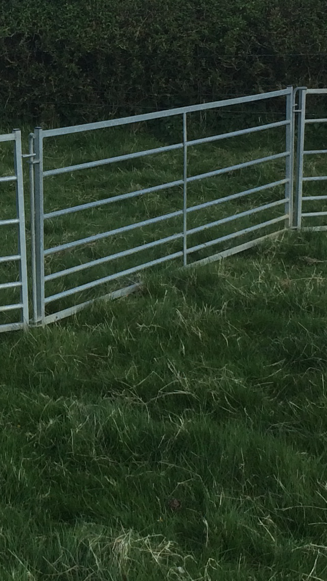 Sheep Handling Hurdles