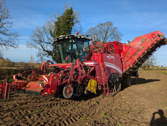 Grimme Maxtron 620 Beet harvester