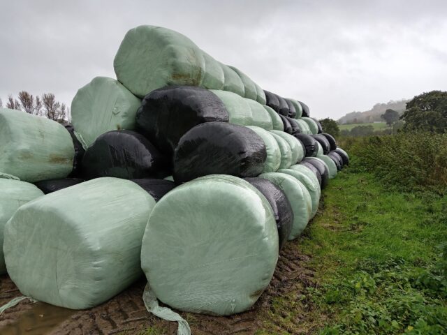 Round bale silage