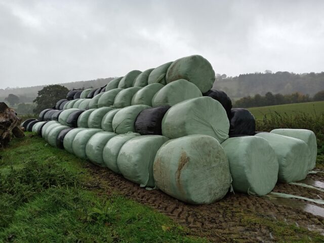 Round bale silage