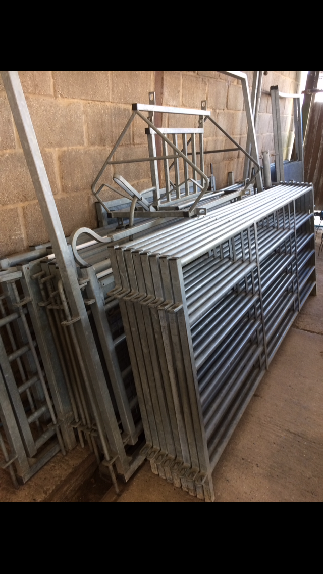 BATEMAN sheep handling system