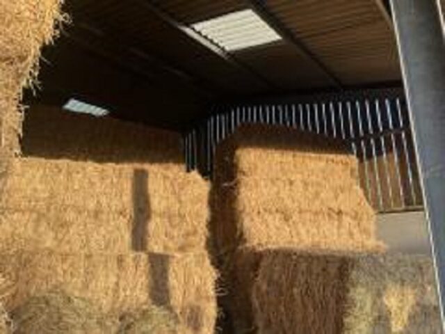 Meadow Hay