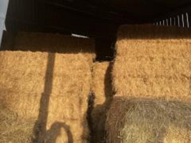 Meadow Hay